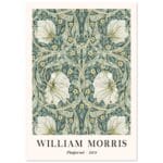 William Morris - Pimpernel 1876 poster