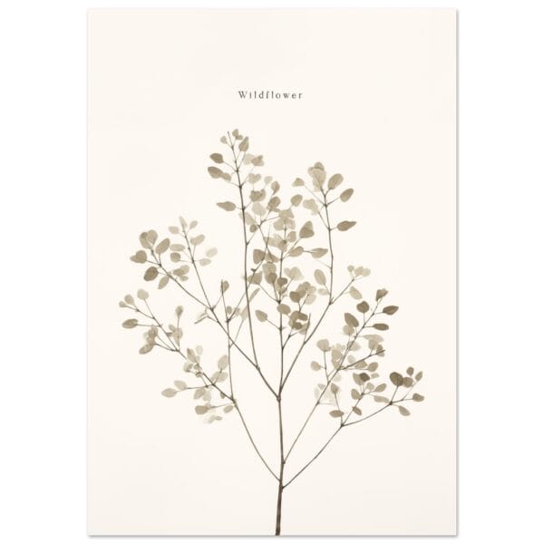 Wildflower poster
