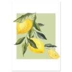 Fruits - Lemon Tree Symphony poster