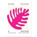 Matisse – Coral bloom pink poster