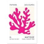 Matisse – Saltflower shapes pink poster