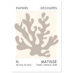 Matisse – Saltflower shapes grey poster