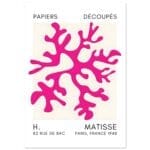 Matisse – Dreamy coral flower pink poster