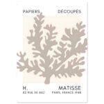 Matisse – Aqua bloom grey poster