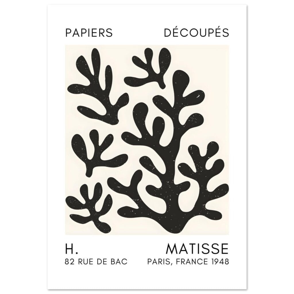 Matisse – Coral shadows black poster