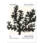 Matisse – Aqua bloom black poster