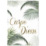 Boho – Carpe diem poster