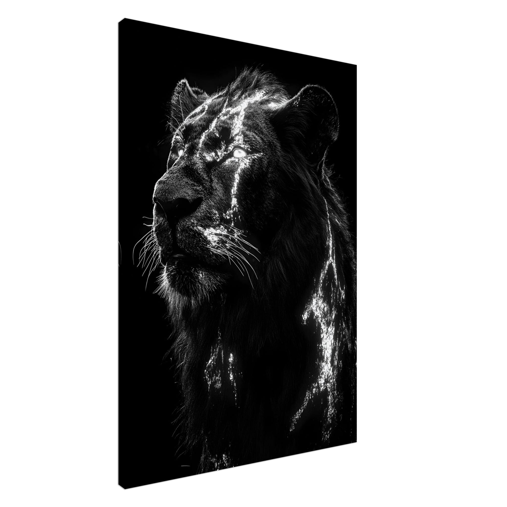 Lion portrait canvas