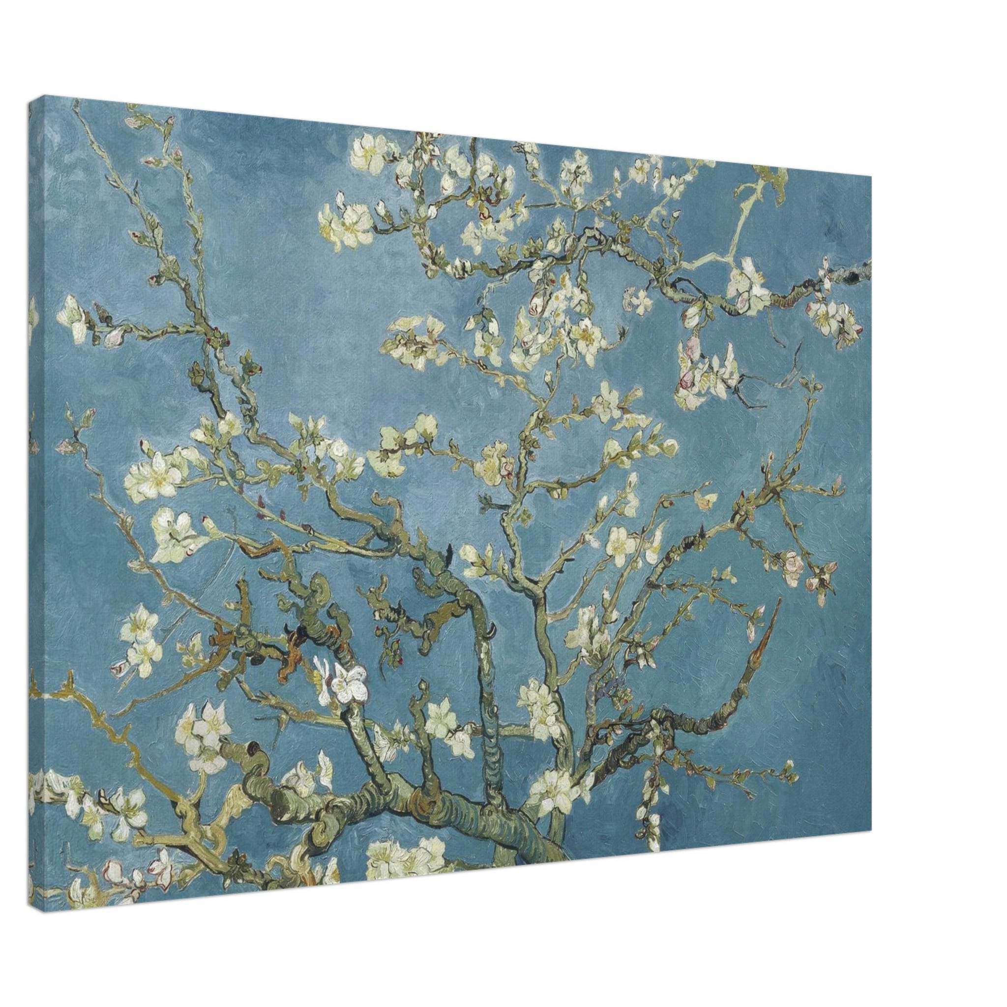 Vincent van Gogh - Amandelbloesem canvas